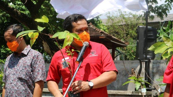 DPC PDI Perjuangan Yogyakarta Bagikan Bibit Jambu Citra dan Mangga Arum Manis
